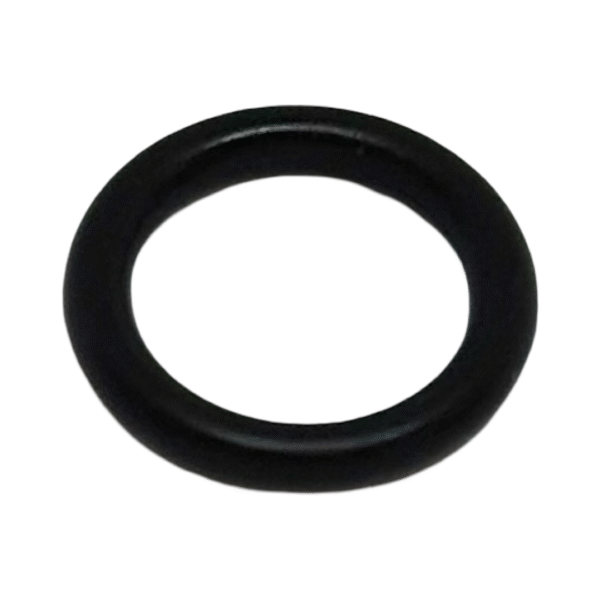 oring ohišja filtra bcs ps